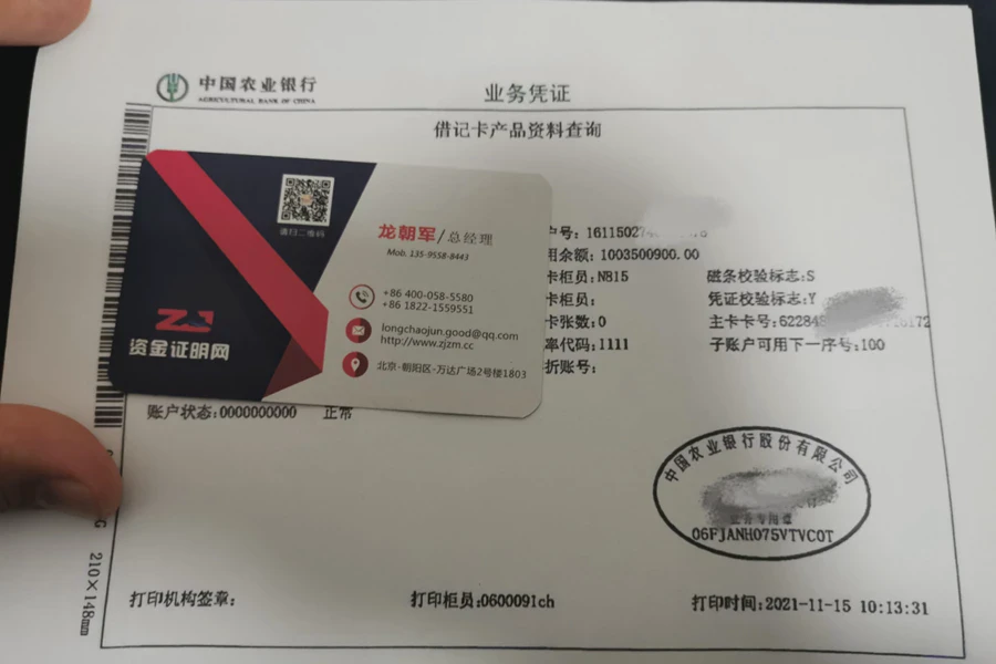 10亿银行余额小票